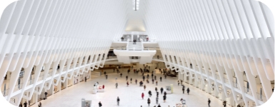 Концерты и выставки